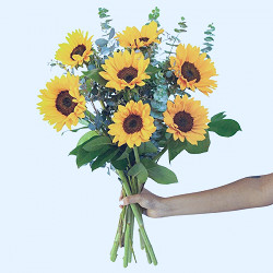 Sunflower Bouquet - Flower Delivery NYC - plantshed.com